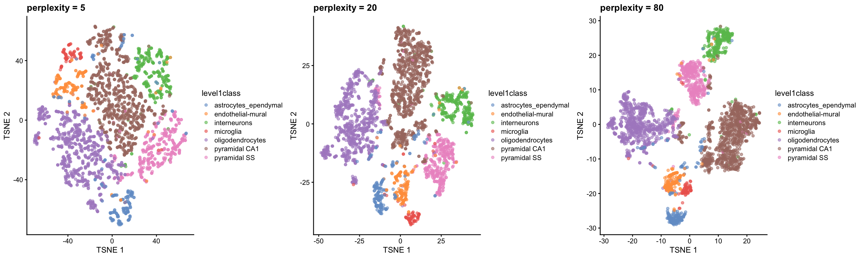 $t$-SNE plots constructed from the top PCs in the Zeisel brain dataset, using a range of perplexity values. Each point represents a cell, coloured according to its annotation.