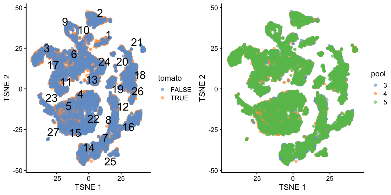 $t$-SNE plot of the WT chimeric dataset, where each point represents a cell and is colored according to td-Tomato expression (left) or batch of origin (right). Cluster numbers are superimposed based on the median coordinate of cells assigned to that cluster.