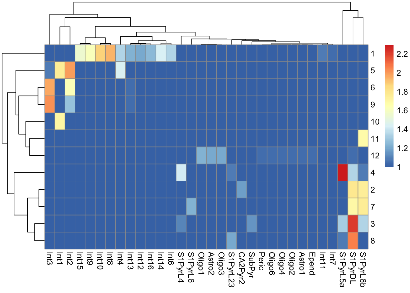 Heatmap of the log-transformed number of cells in each combination of label (column) and cluster (row) in the Tasic dataset.