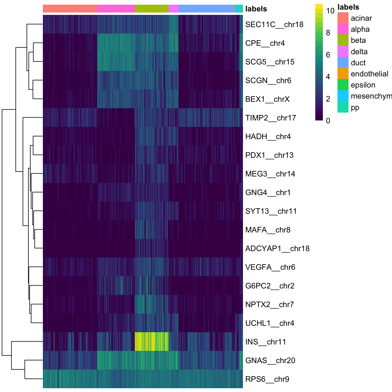 Heatmap of log-expression values in the Grun dataset for the top marker genes upregulated in beta cells in the Muraro reference dataset. Assigned labels for each cell are shown at the top of the plot.