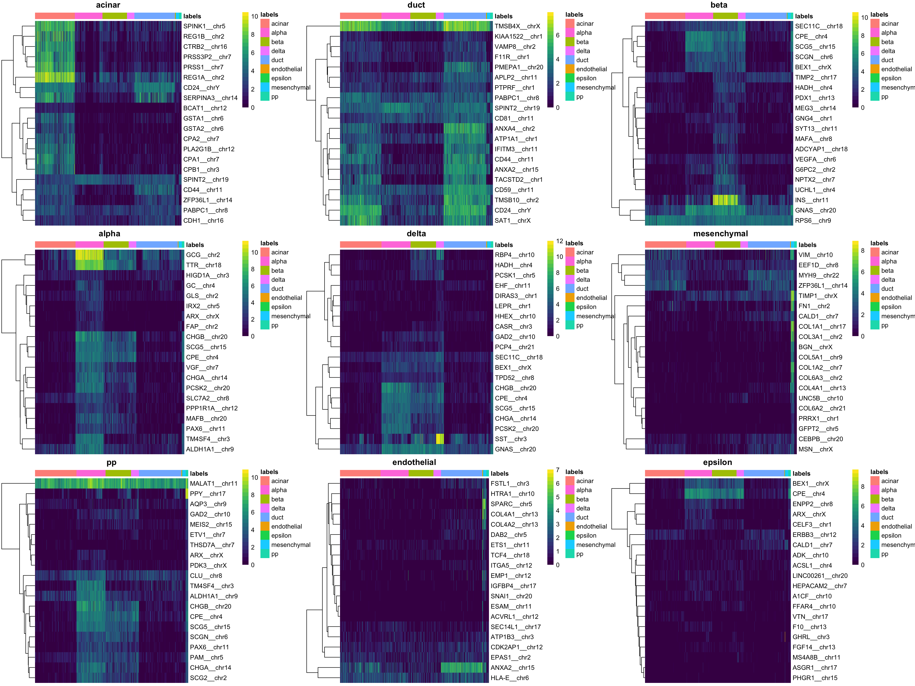 Heatmaps of log-expression values in the Grun dataset for the top marker genes upregulated in each label in the Muraro reference dataset. Assigned labels for each cell are shown at the top of each plot.