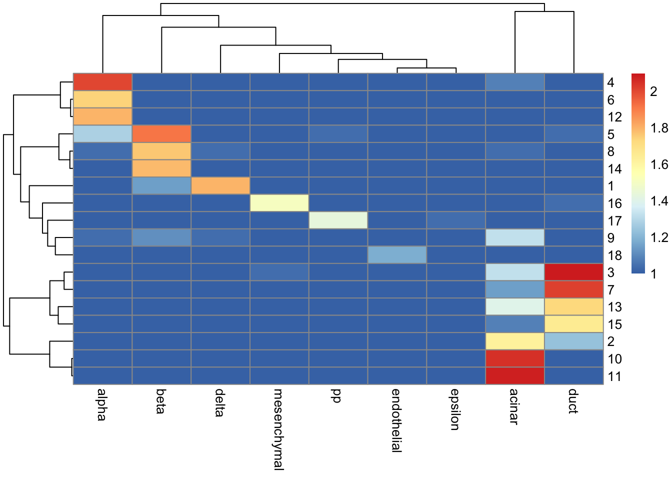 Heatmap of the log-transformed number of cells in each combination of label (column) and cluster (row) in the Grun dataset.
