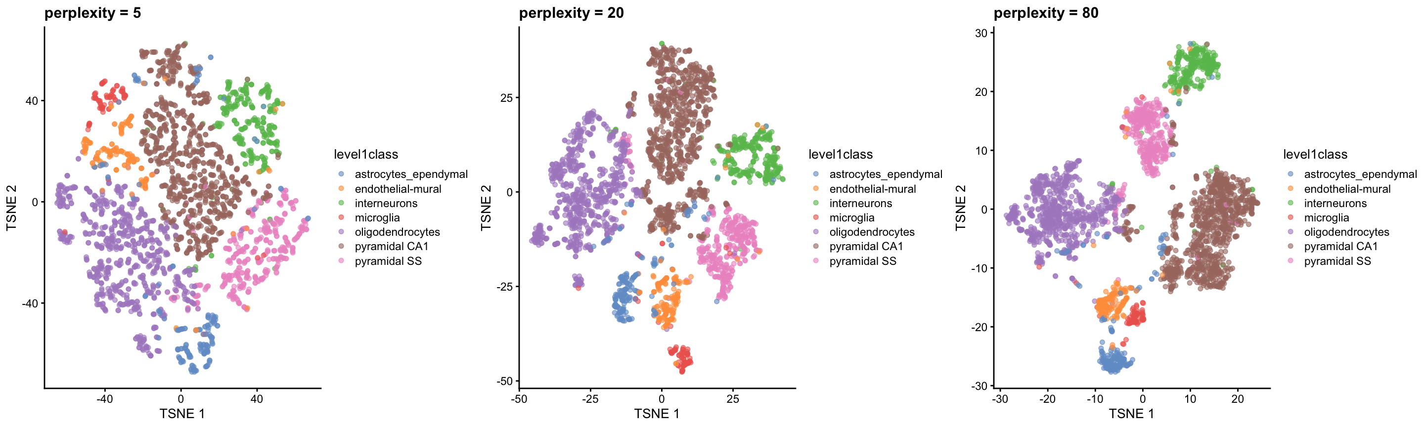 $t$-SNE plots constructed from the top PCs in the Zeisel brain dataset, using a range of perplexity values. Each point represents a cell, coloured according to its annotation.