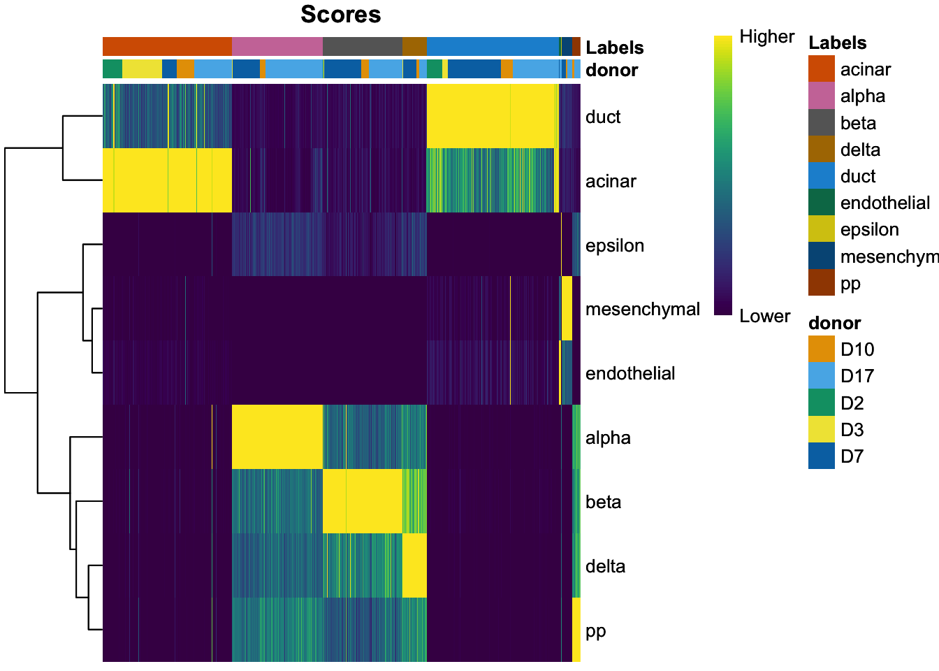 Heatmap of normalized scores for the Grun dataset, including the donor of origin for each cell.