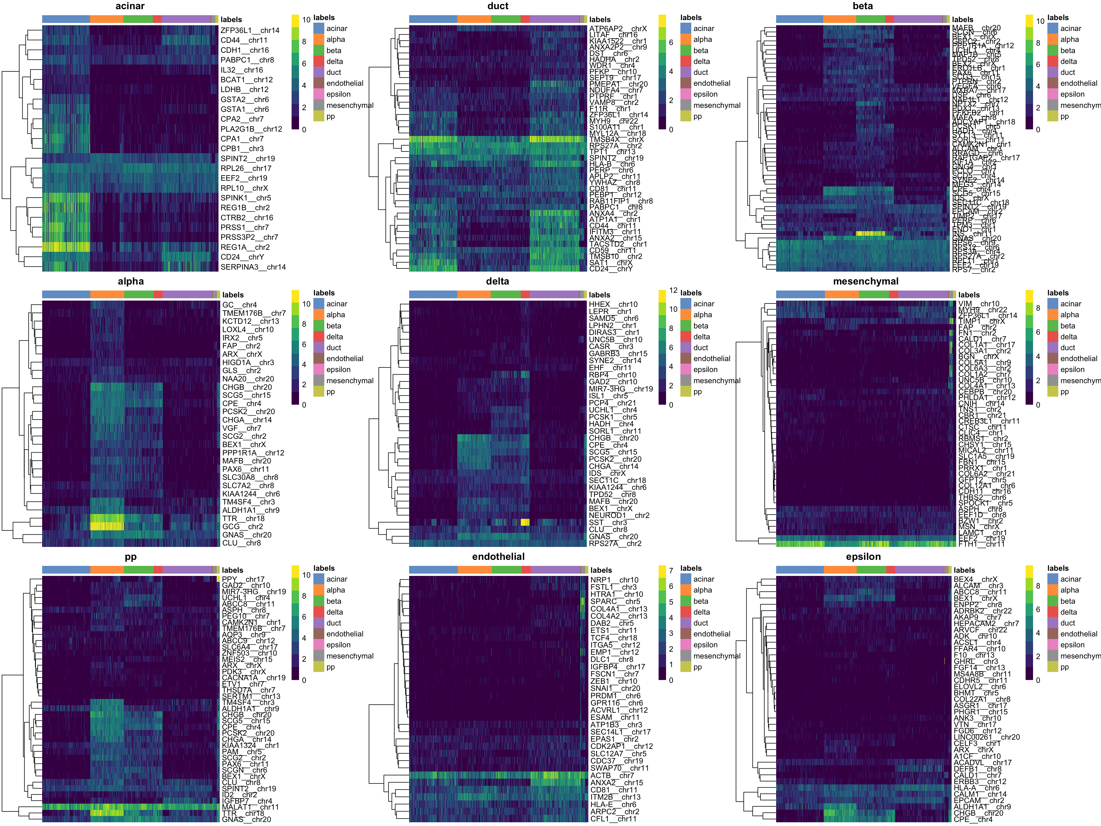 Heatmaps of log-expression values in the Grun dataset for all marker genes upregulated in each label in the Muraro reference dataset. Assigned labels for each cell are shown at the top of each plot.